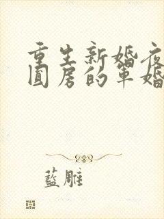 重生新婚夜正在圆房的军婚封面