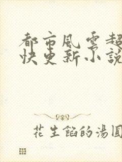 都市风云超前超快更新小说封面