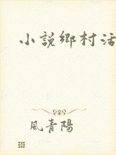 小说乡村活寡