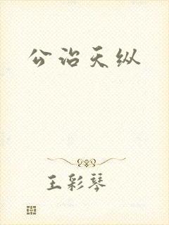 公治天纵封面