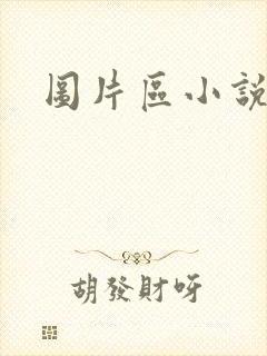图片区小说区