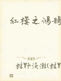 红楼之鸿鹄封面