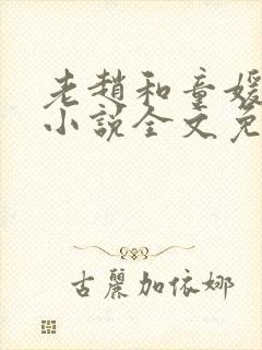 老赵和童媛媛的小说全文免费阅读封面