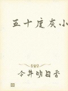 五十度灰小说