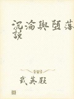 沉沦与堕落的小说