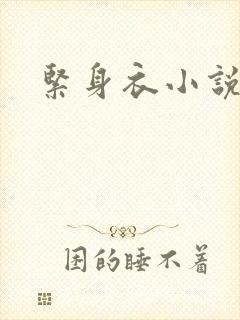 紧身衣小说封面