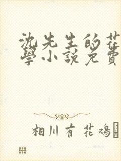 沈先生的花式教学小说免费