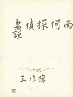 名侦探柯南h小说封面