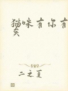 猫咪有你有我足矣