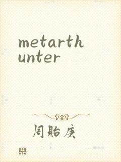 metarthunter封面