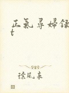 正气寻妇录txt