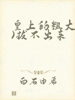 皇上的粗大(h)拔不出来封面