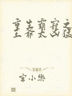 重生霸宠之摄政王爷太凶猛封面
