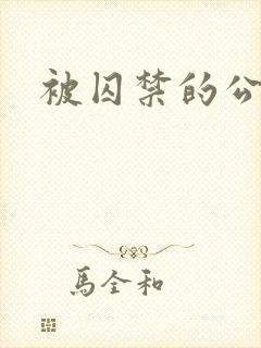 被囚禁的公主封面