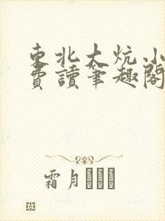 东北大炕小说免费读笔趣阁封面