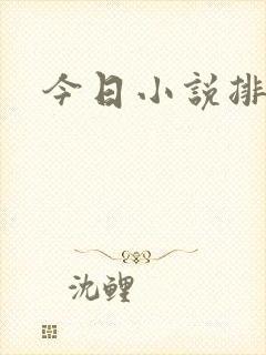 今日小说排行榜封面