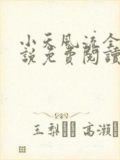 小天风流全集小说免费阅读