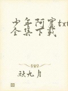 少年阿宾txt全集下载封面