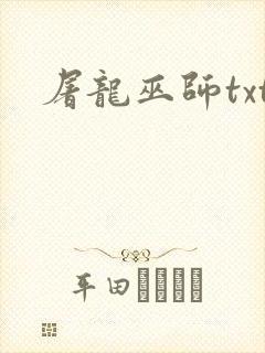 屠龙巫师txt