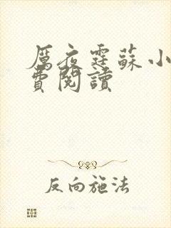 厉夜霆苏小汐免费阅读封面