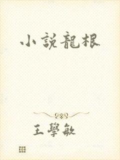 小说龙根封面