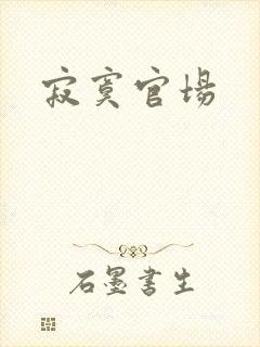 寂寞官场