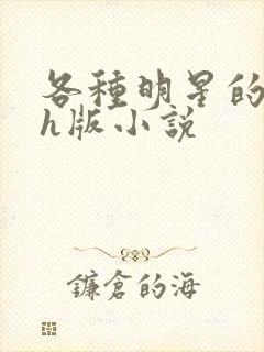 各种明星的综艺h版小说