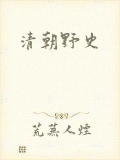 清朝野史封面