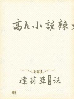 高h小说辣文