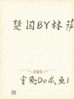 楚囚BY林萨封面