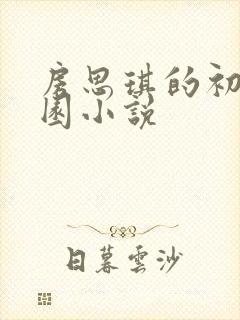 房思琪的初恋乐园小说