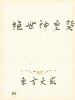 绝世神皇楚风
