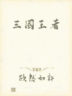 三国王者封面