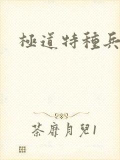 极道特种兵