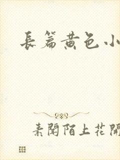 长篇黄色小说封面