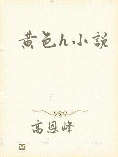 黄色h小说封面