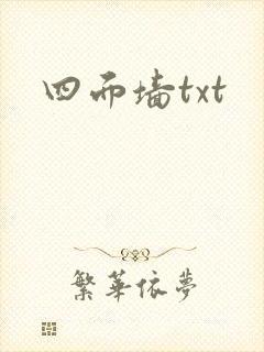 四面墙txt
