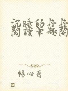 沉睡的丹丹完整阅读笔趣阁封面