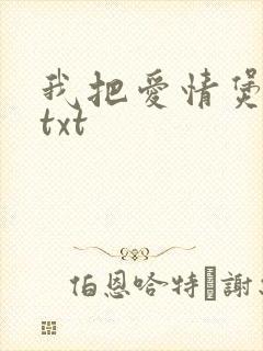 我把爱情煲成汤txt