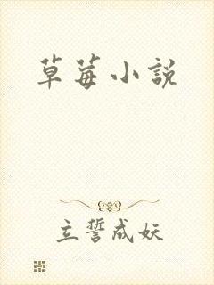 草莓小说封面