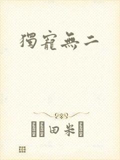 独宠无二封面