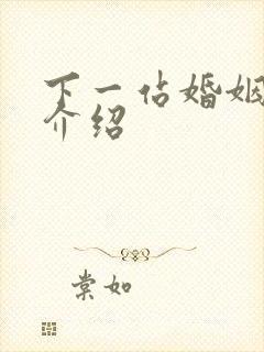 下一站婚姻剧情介绍封面