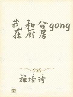 我和公gong在厨房封面