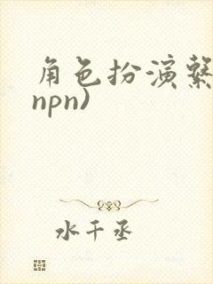 角色扮演系统(npn)封面