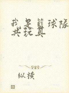 我是篮球队的公共玩具