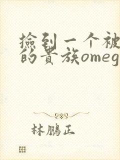 捡到一个被抹布的贵族omega