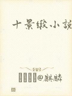 十景缎小说