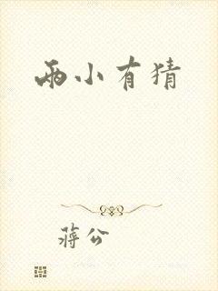 两小有猜封面