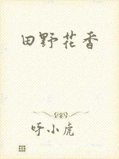 田野花香封面