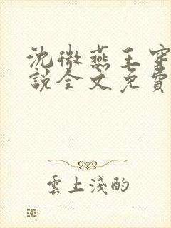 沈微燕王穿越小说全文免费阅读封面